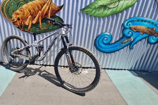 Half Day Full Suspension Acoustic Mountain Bike Rental