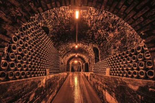 Luxury French Wine Journeys in Champagne