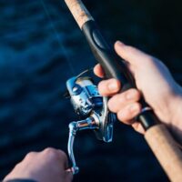 Fishing Charters & Tours