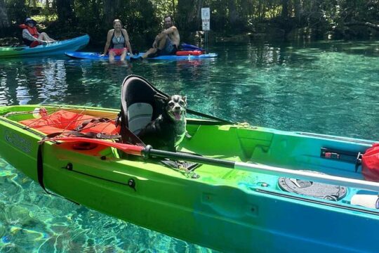 Kings Bay Three Sisters Springs Kayak Rental