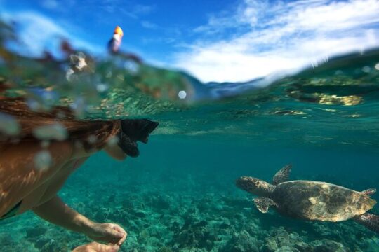 Spanish-Guided Circle Island Adventure