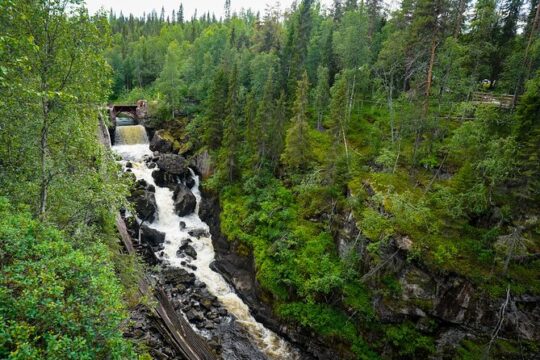 Minivan Rovaniemi Auttikongas Group Tour Journey