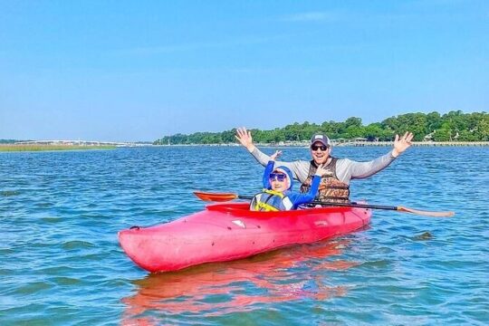 Family Friendly Dolphin Nature Kayak Tours in Hilton Head