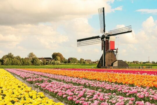 Private sightseeing tour to the Windmills and cheese incl. Guide