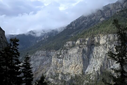Mount Charleston Guided Hike Tour to Mary Jane Falls