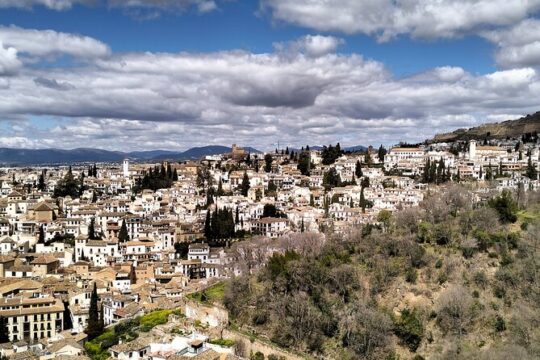 Visit Albaicín and Central Granada from Puerto de Motril