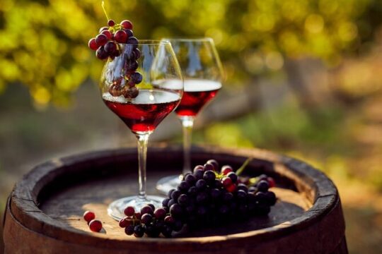 Appia in Wine Exclusive Wine Tour in Puglia