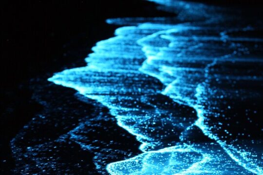 Sunset and Bioluminescent Night Snorkel Tour in Puerto Vallarta
