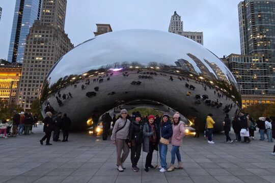 Chicago City's Iconic Sights and Suburb Gems Tour