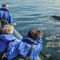 Cruises, Sailing & Water Tours