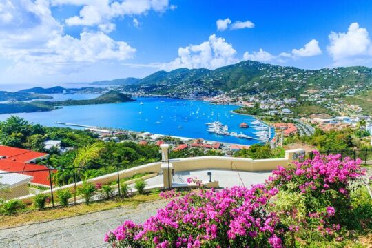 Local Bar Hop Tour in downtown Charlotte Amalie and Waterfront