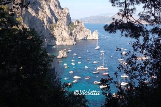 Capri Day Trip Discover Hidden Treasures with a Local Guide