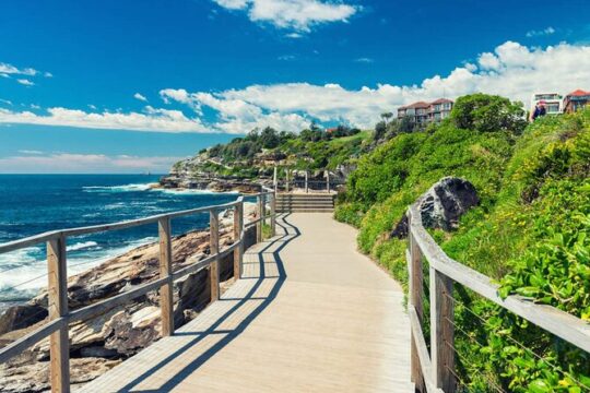 Bondi to Coogee Guided Coastal Walk with Lunch