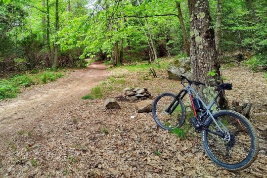 Panoramic Views Tour from Sanremo to Bajardo by e-Bike