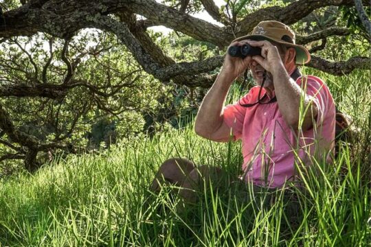 Waiheke Island Private Birding Tour